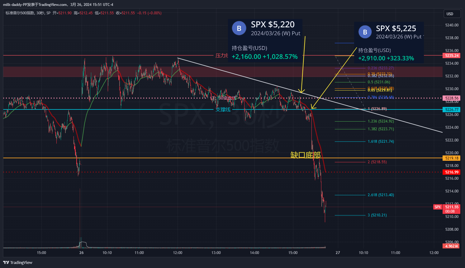 世间的温柔不过是芳春柳摇染花 